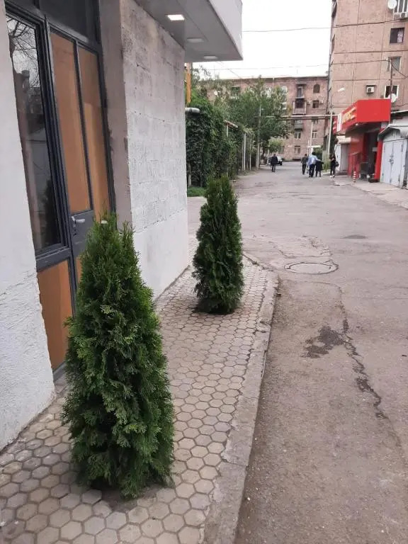 Гостевой Дом Vahes Family Guest House N1