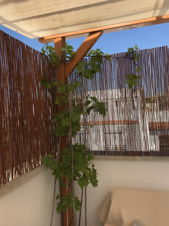 Апартаменты Sitges Sea View