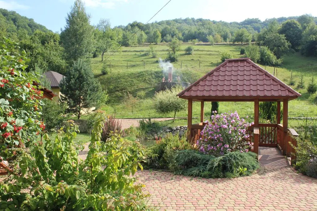 Svit Sontsya