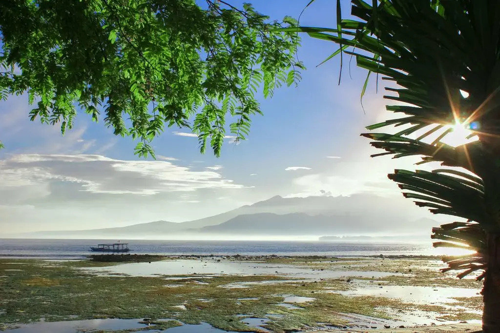 Отель Kaluku Gili Resort