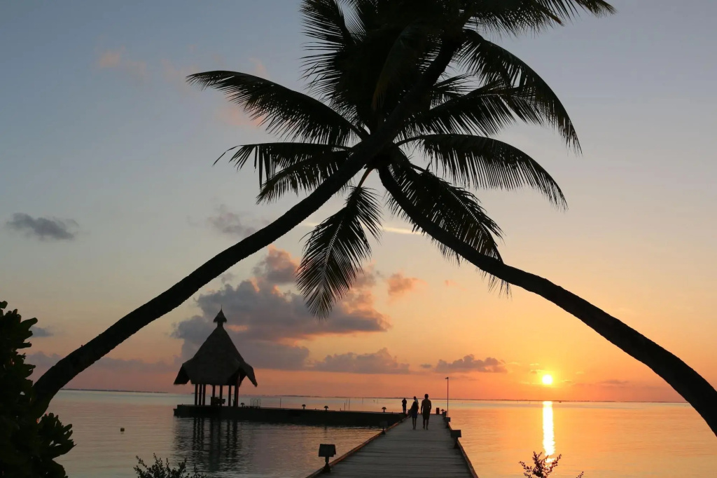 Canareef Resort Maldives