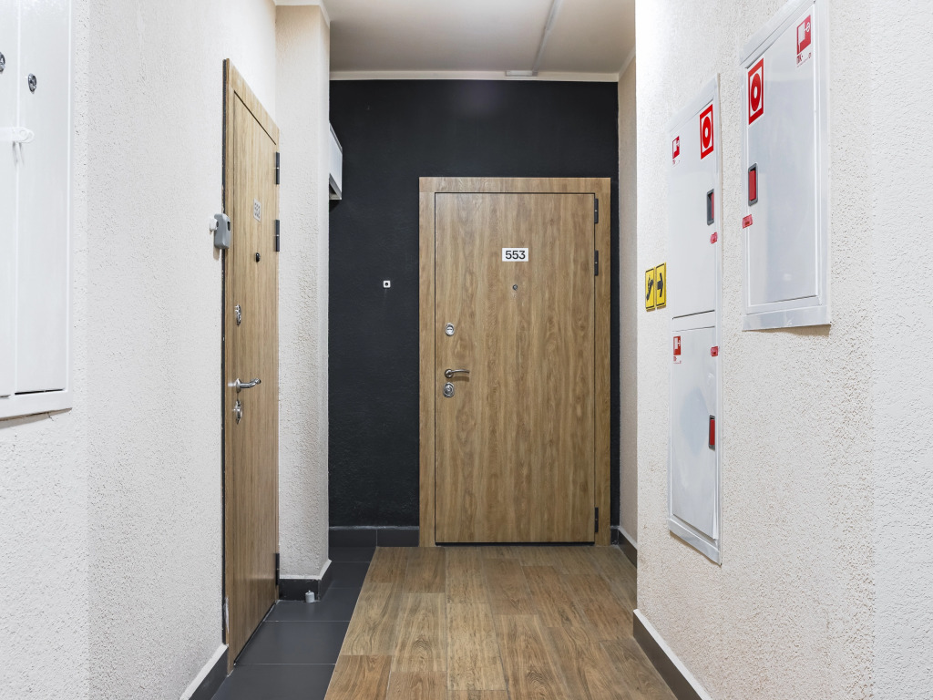 Lunnaya Studiya Flat