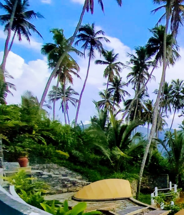 Отель The Flame Tree Estate