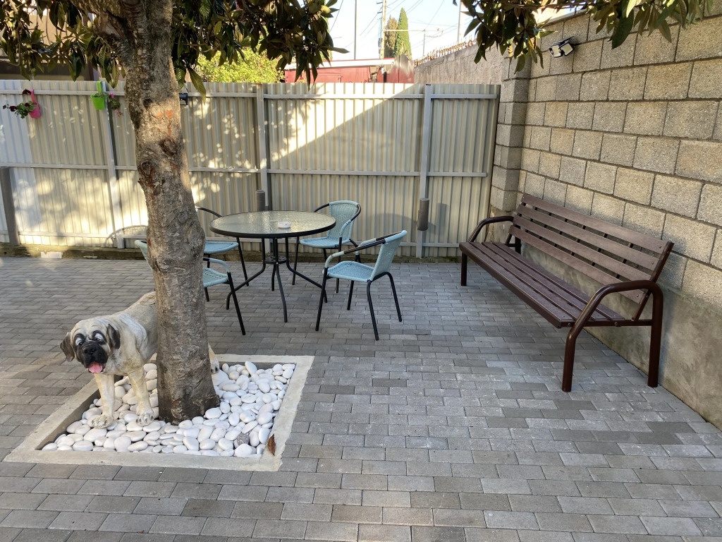 524 Guest house