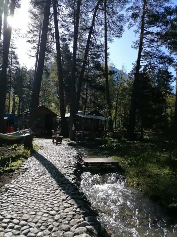 Шале Лес хрустальной песни