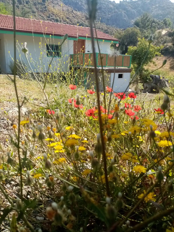 Iztuzu Homes