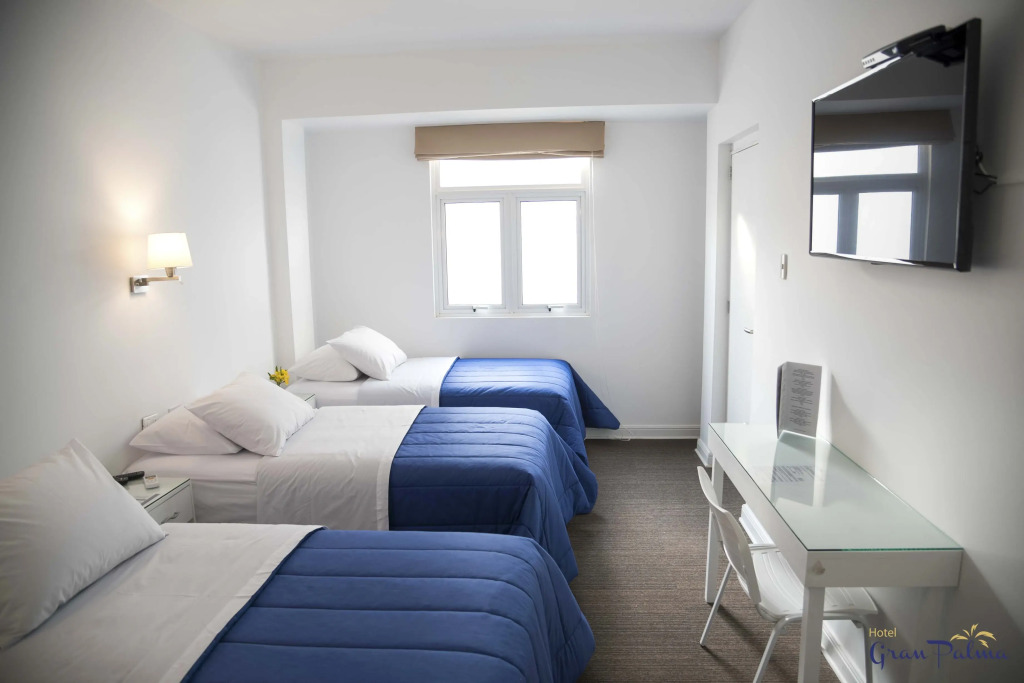 Hotel Gran Palma