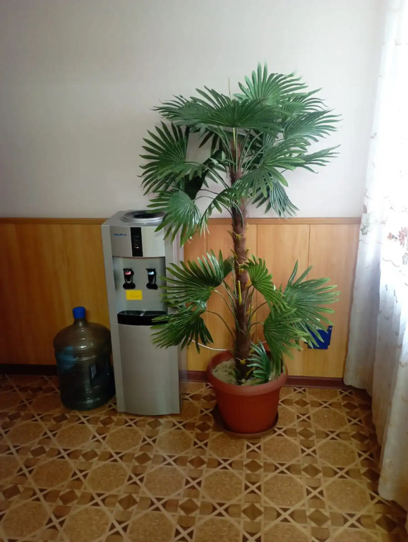 Kemping Poklevskii