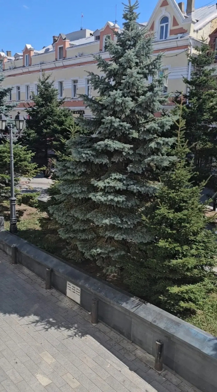 Апартаменты 2