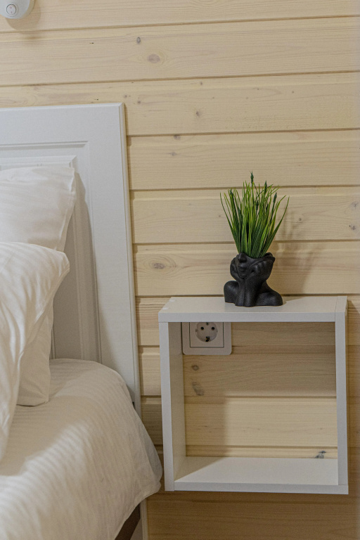 Меблированные комнаты Ecosuite Family