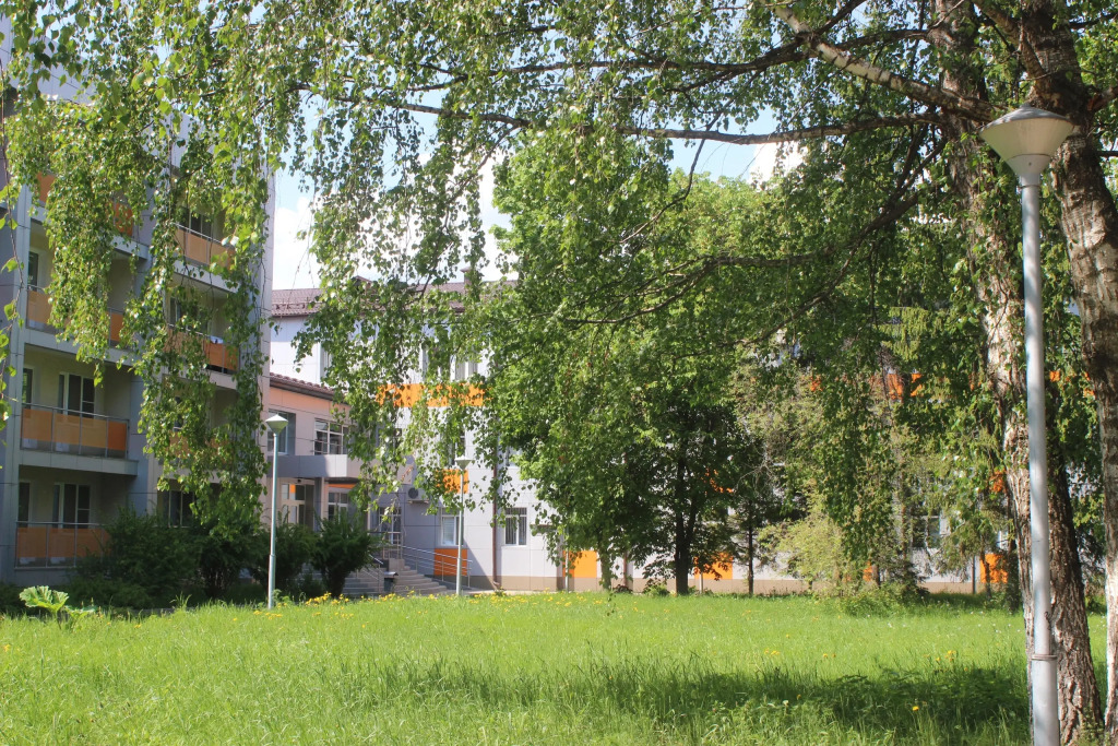 Боровичи
