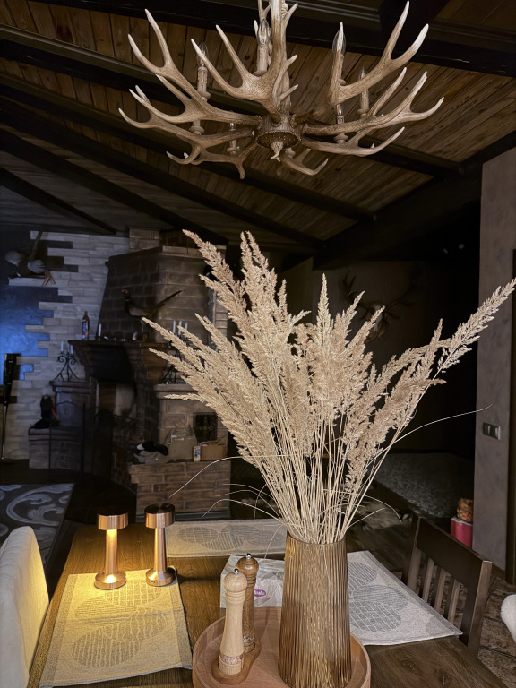 Шале Grand chalet Беловежская пуща