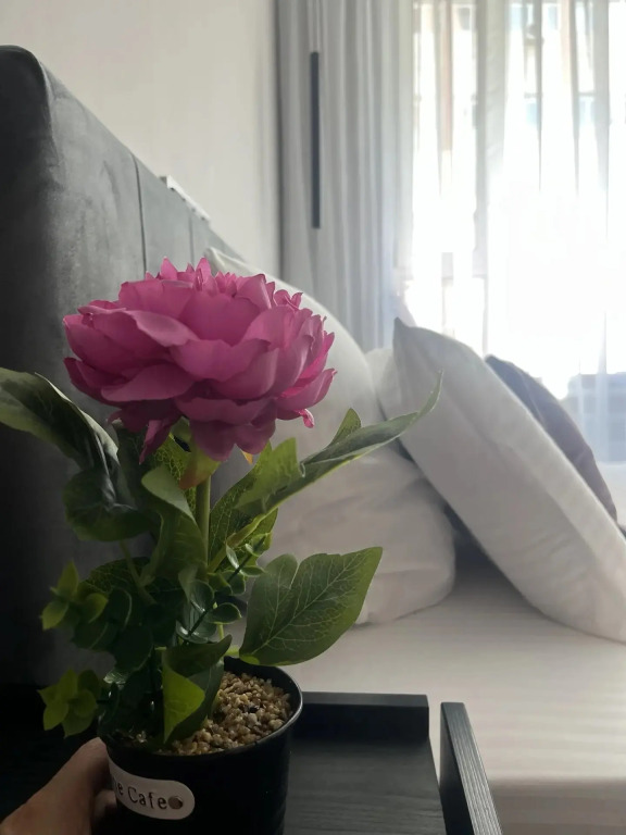 Апартаменты Desert Rose
