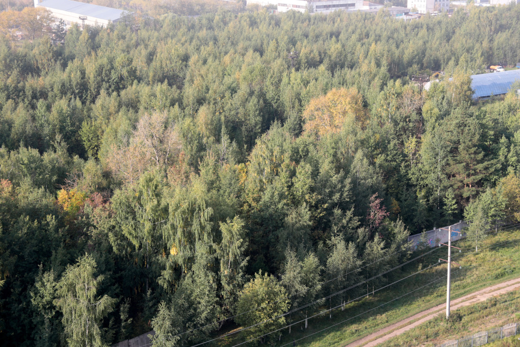 Квартира Loft 17