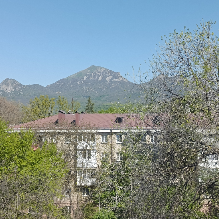 Квартира Roman house