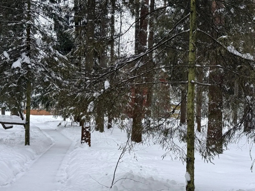База отдыха Плещеево