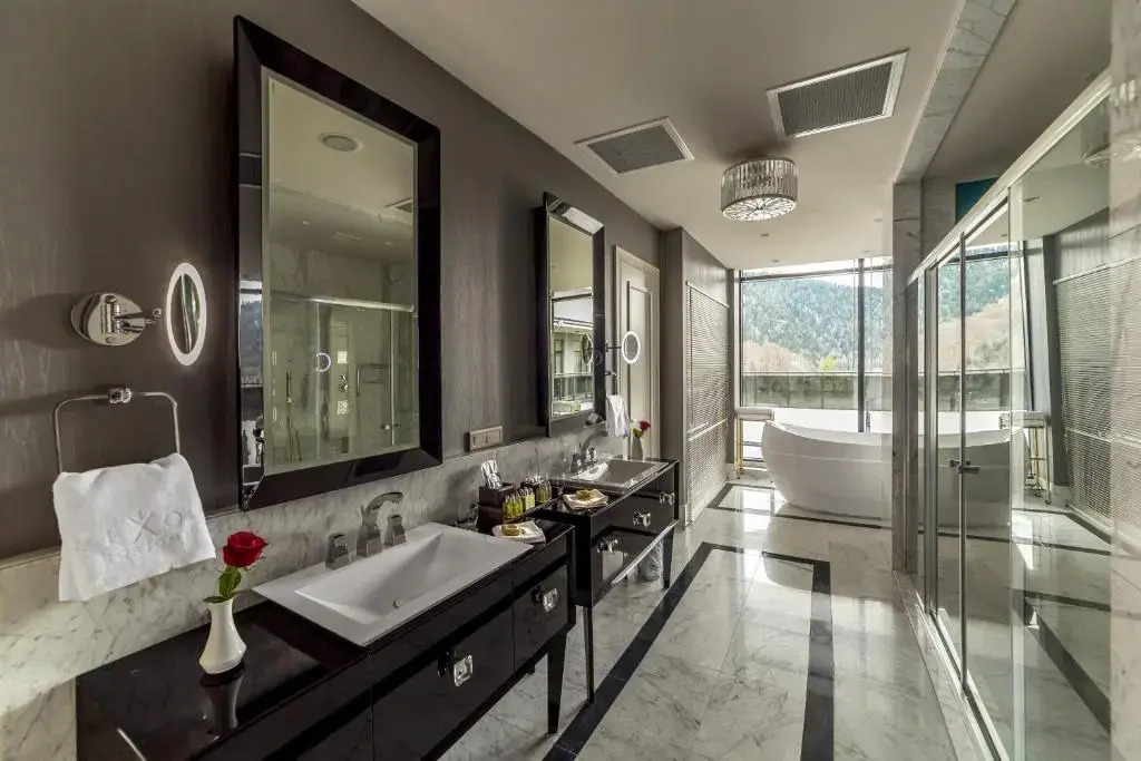Borjomi Likani Health & Spa Centre