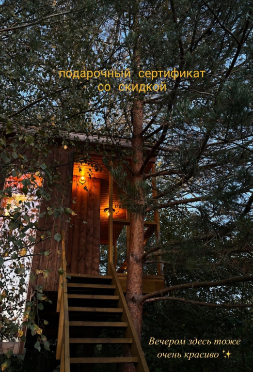 Кемпинг Дом на дереве