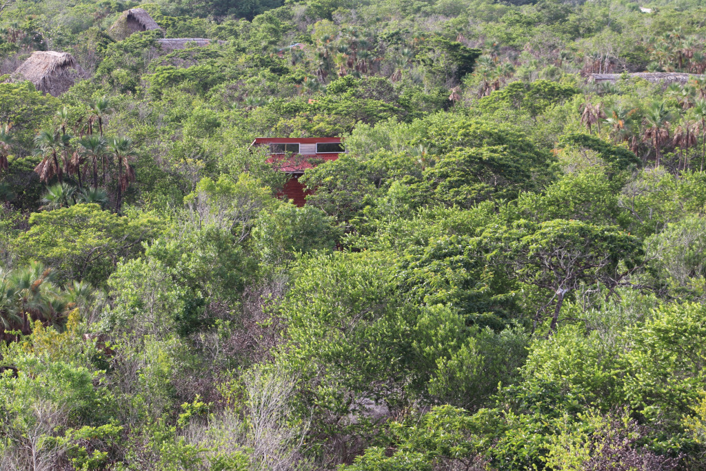 Ночлег и завтрак Palmento Grove Garifuna Eco Cultural and Fishing Institute