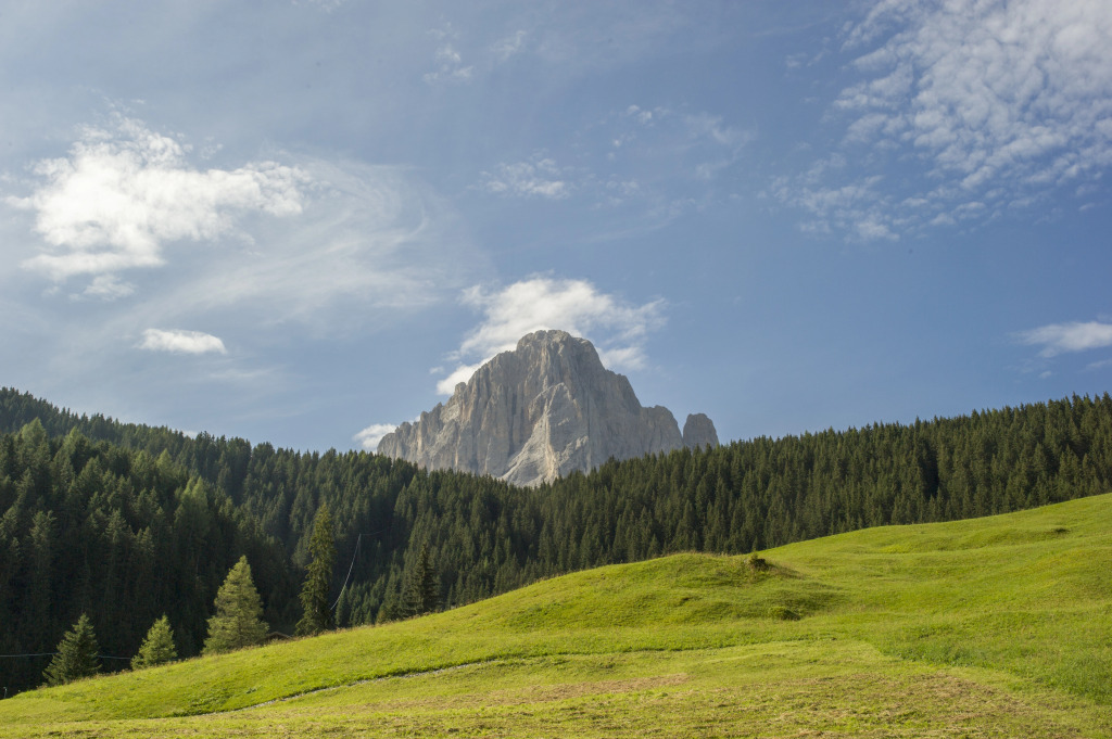 Villa Insam