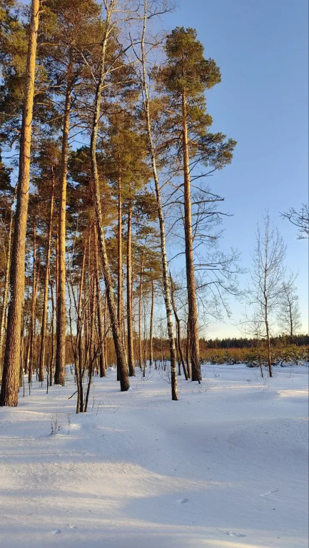 Odnokomnatnaya S Balkonom Flat