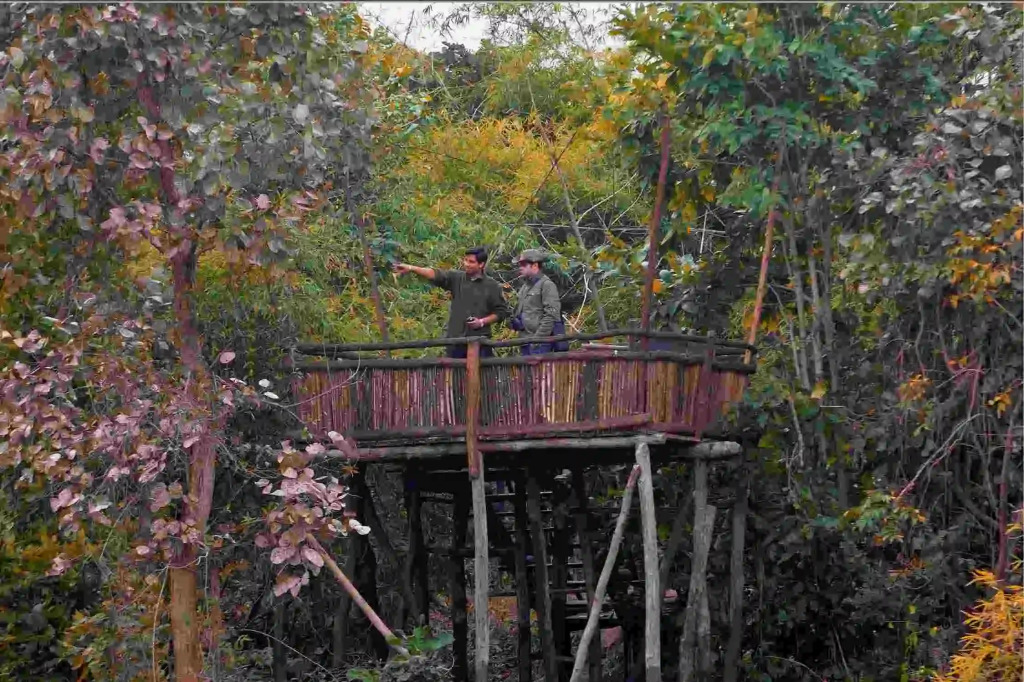Жилое Помещение Pugdundee Safaris - Tree House Hideway