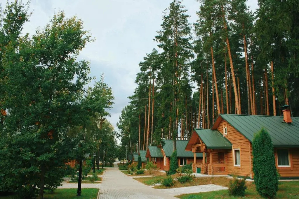 Отель Green Park Conference & Spa