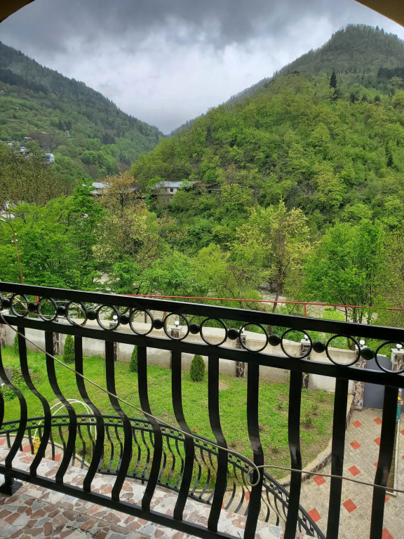 Гостевой дом Dioscuria Borjomi
