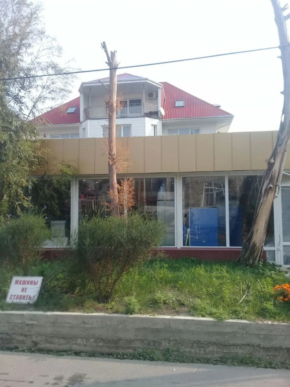 Отель Elena