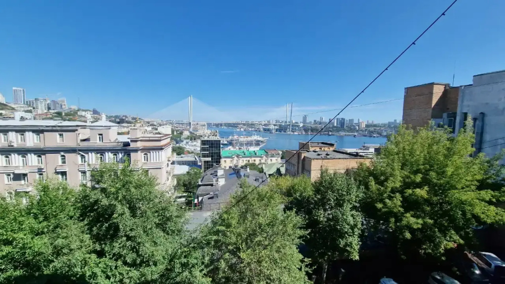 Квартира уютная с хорошим видом на Посьетской