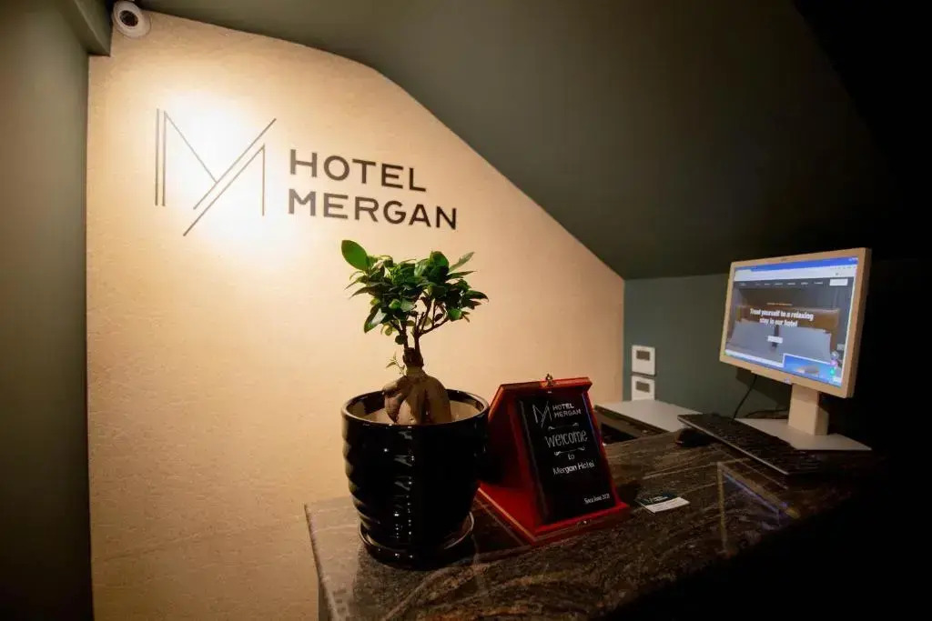 Отель Mergan