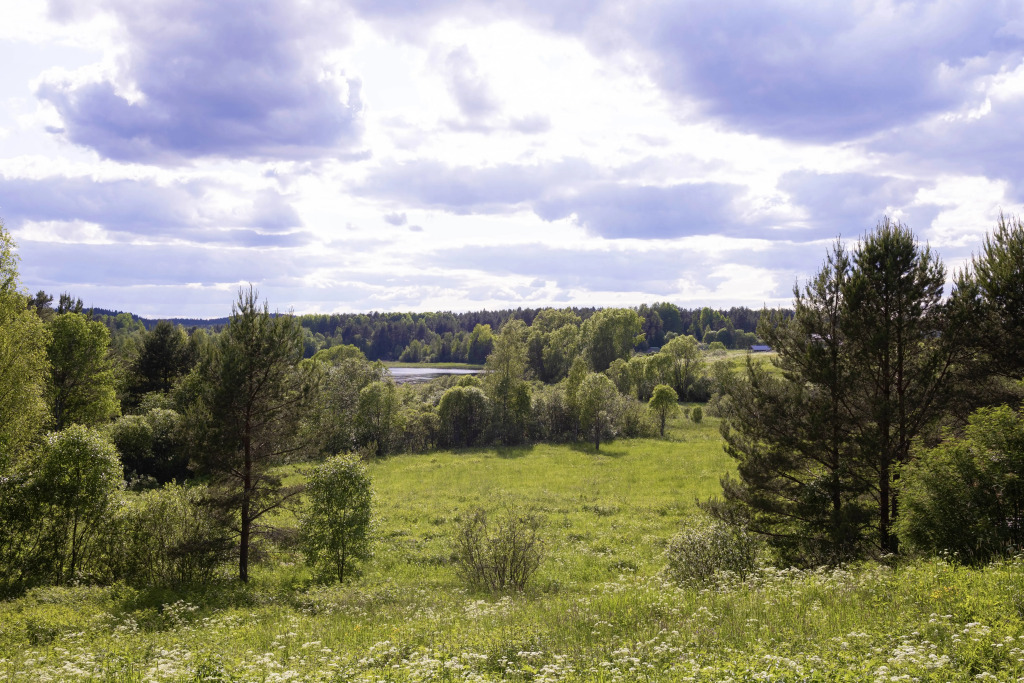 Частный дом NordLodge Ojavois Karelia