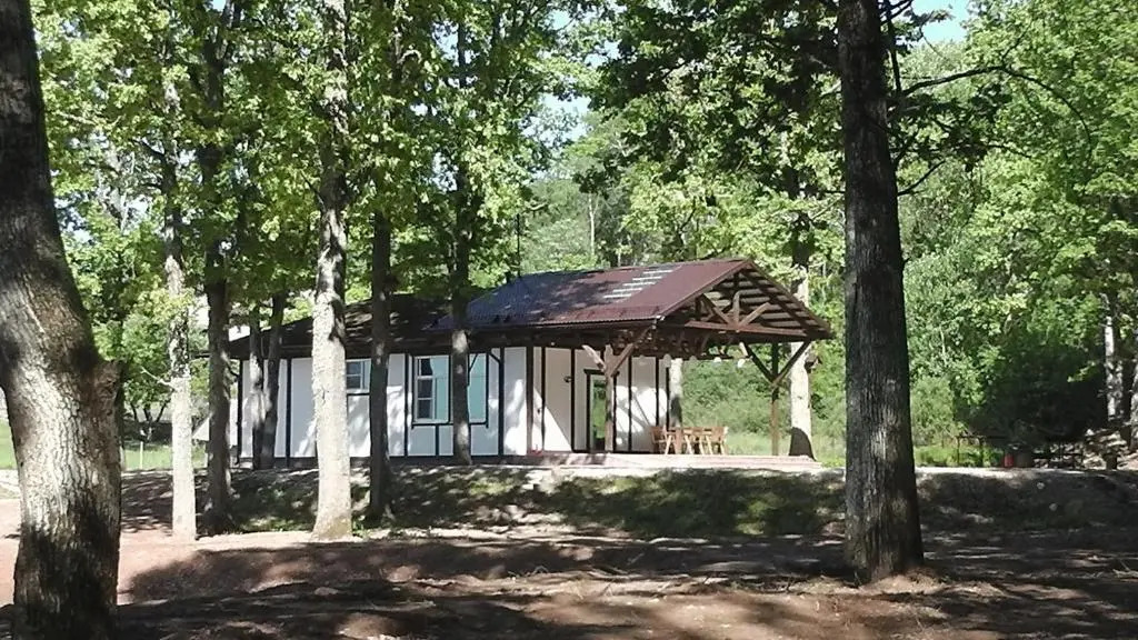 Дом в деревне Селихново