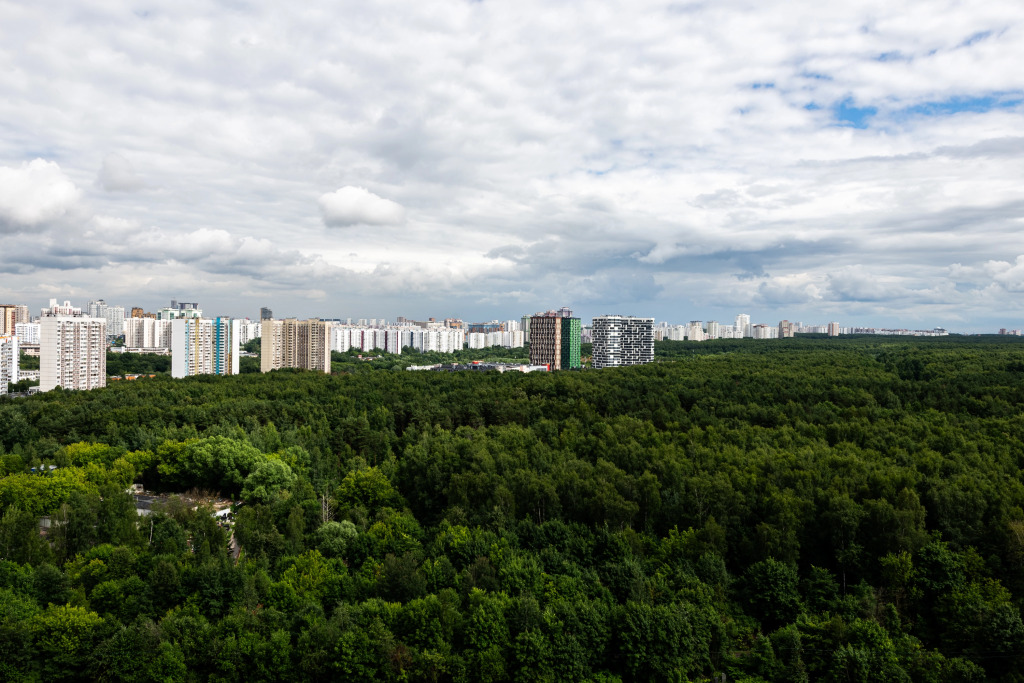 Yevrodvushka Flat