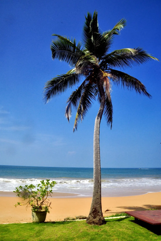 Ocean of Life Ayurveda Hotel