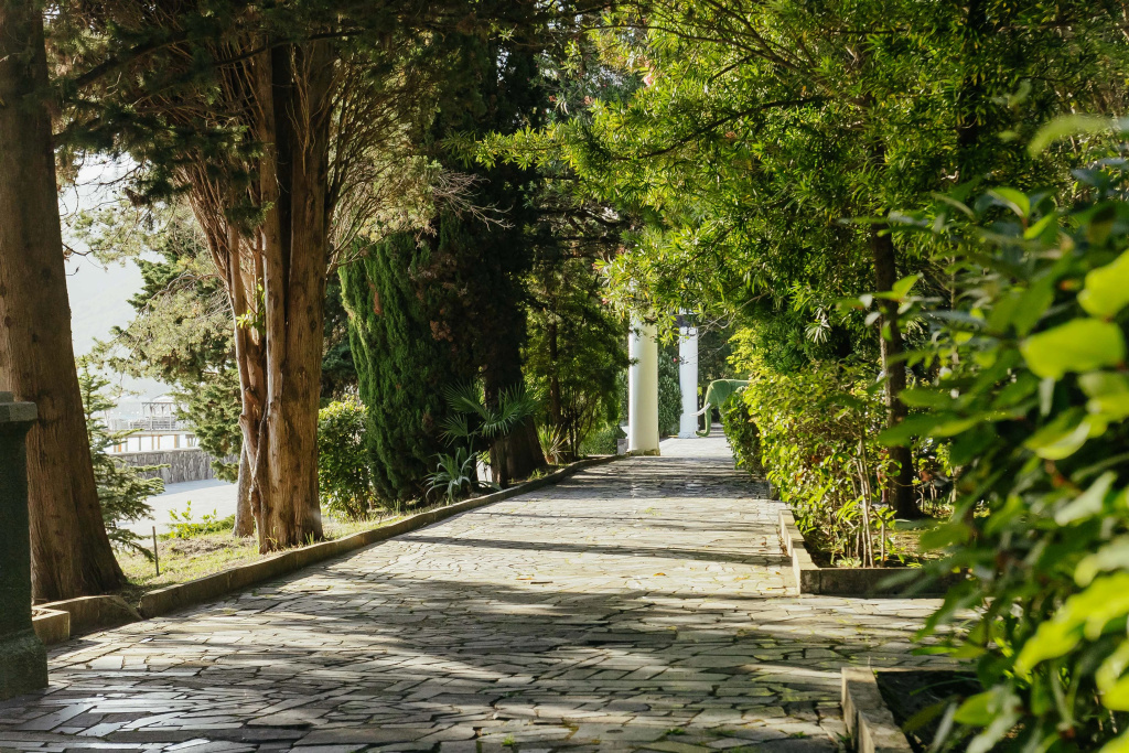 Отель Amra Park Hotel & Spa