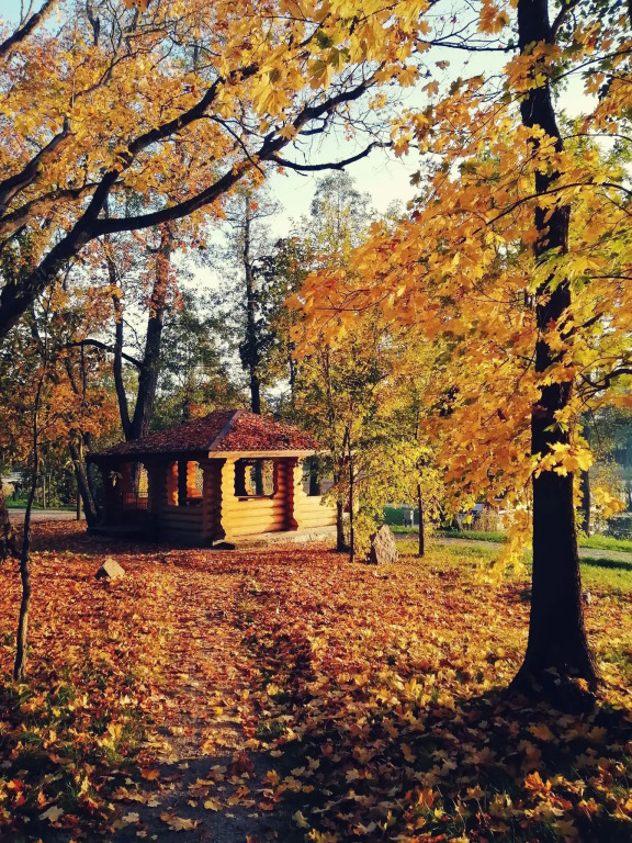 Отель Парк-отель Яркое