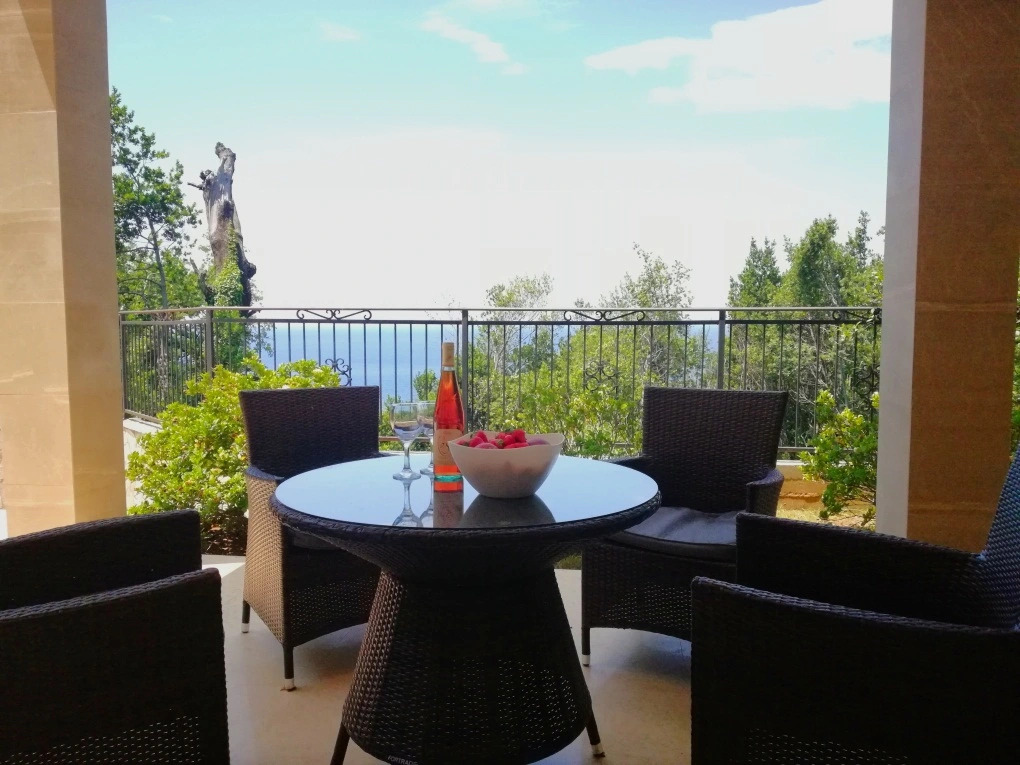 Delphinium Villa