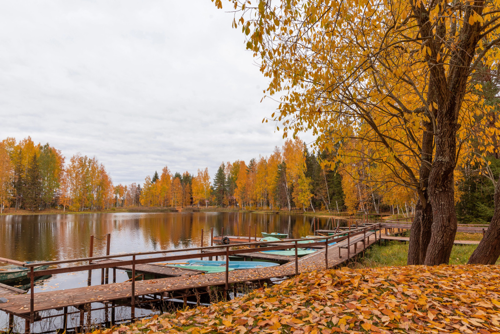 Отель Valday Hunting & Country Club