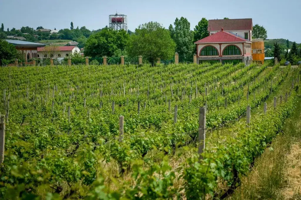Отель Chabiant Winery