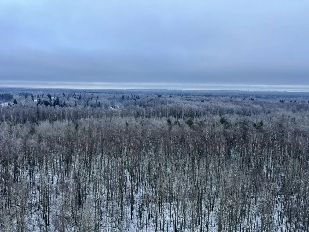 Квартира на улице Пейзажной 24к1