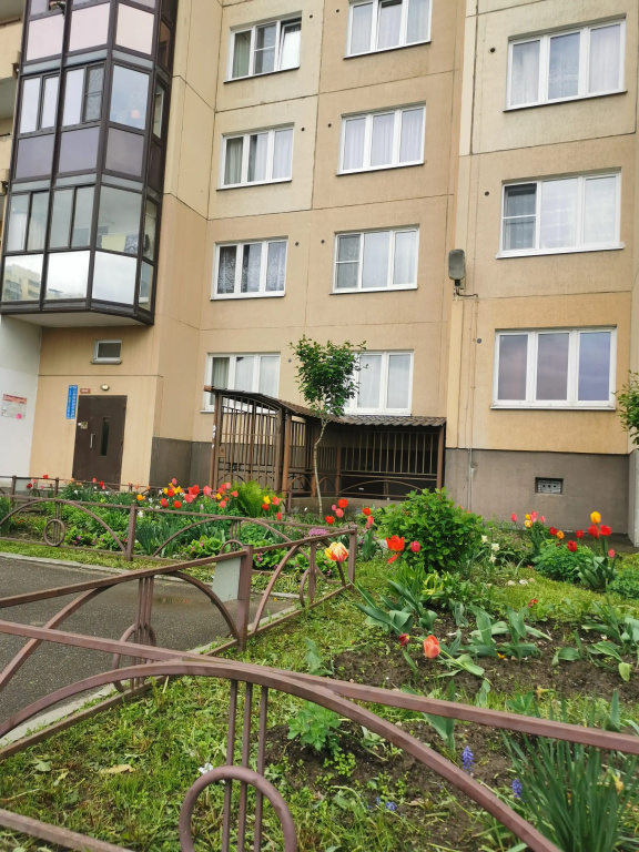 Квартира на пути в Петергоф