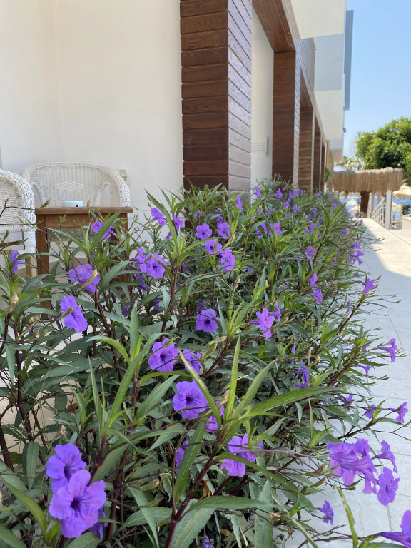 Zest Exclusive Hotel & Spa