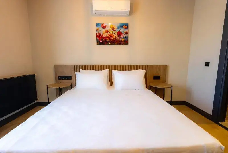 Отель Leliko Suites