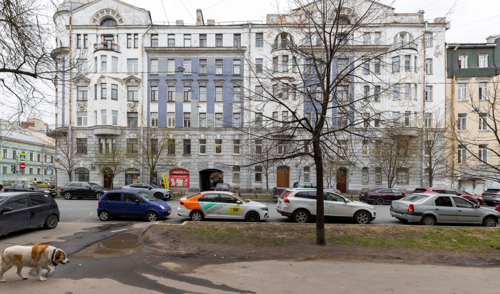 Жилое помещение Новая дизайнерская студия на Ваське