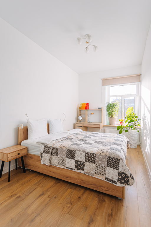 Апартаменты Sergeew Apartments 3-х комнатный Делюкс на стрелке Васильевского острова