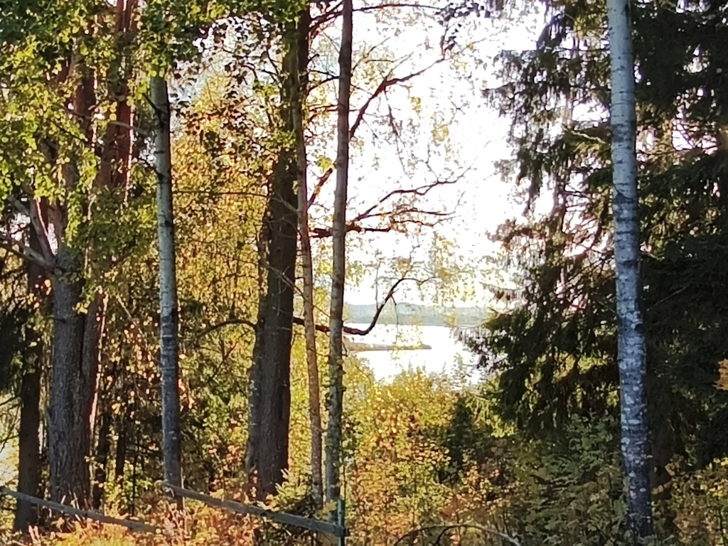 Частный дом Летняя дача