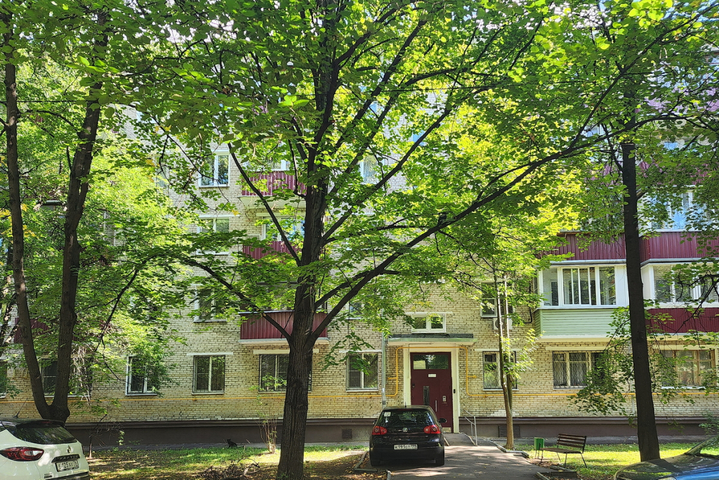 Квартира около Цито