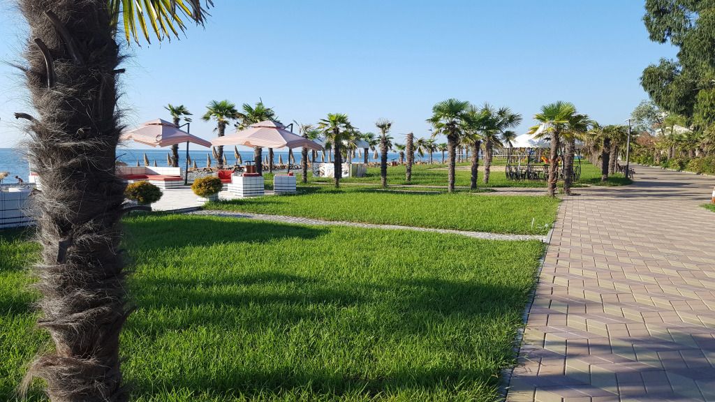 Dream Land Oasis