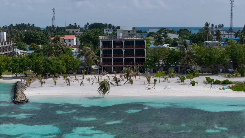 Гостевой дом Velley Palm Seaview & Spa